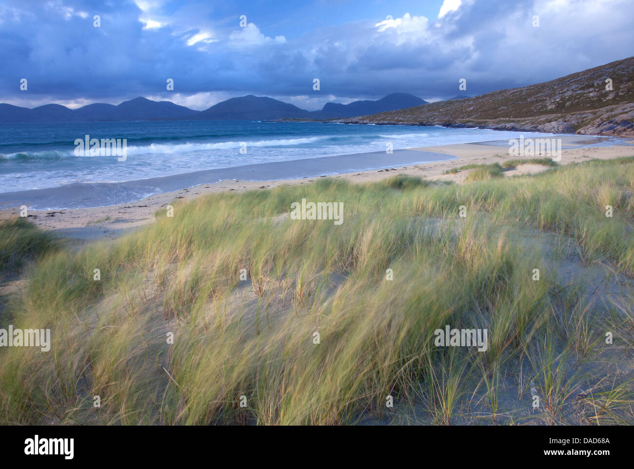 Playa de Luskentire con dune céspedes soplando en el primer plano, Isla de Harris, Hébridas Exteriores, Escocia Foto de stock