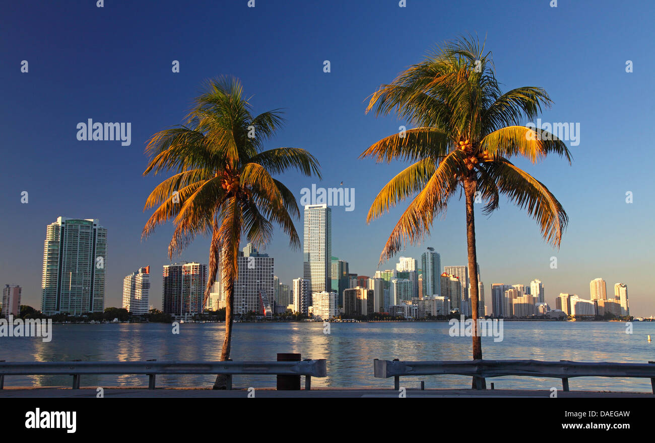 Perfil del centro de la ciudad de Miami, Florida, Miami, EE.UU. Foto de stock