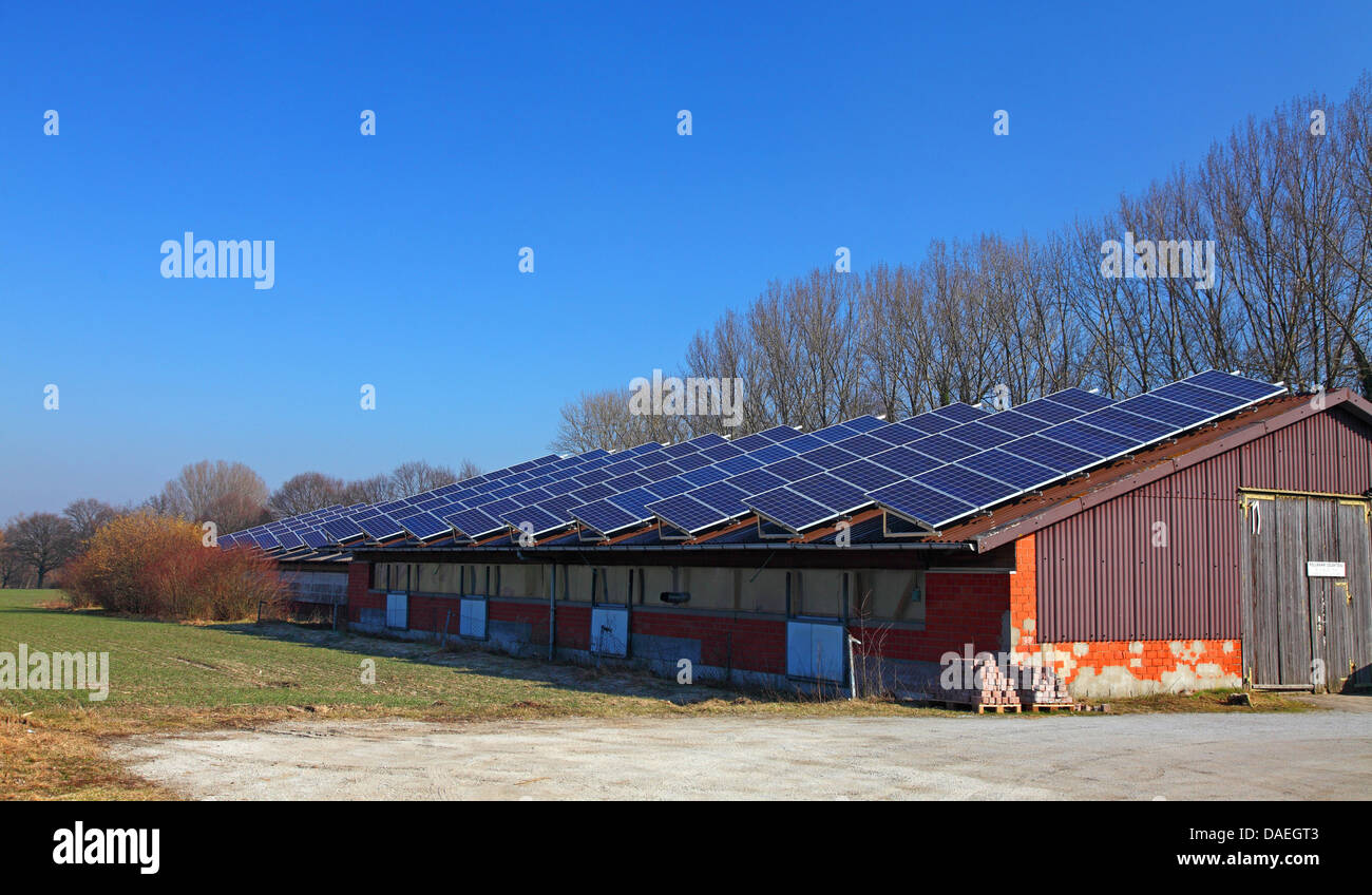 Colectores solares en el tejado de un edificio agrícola , Alemania, en Renania del Norte-Westfalia Foto de stock