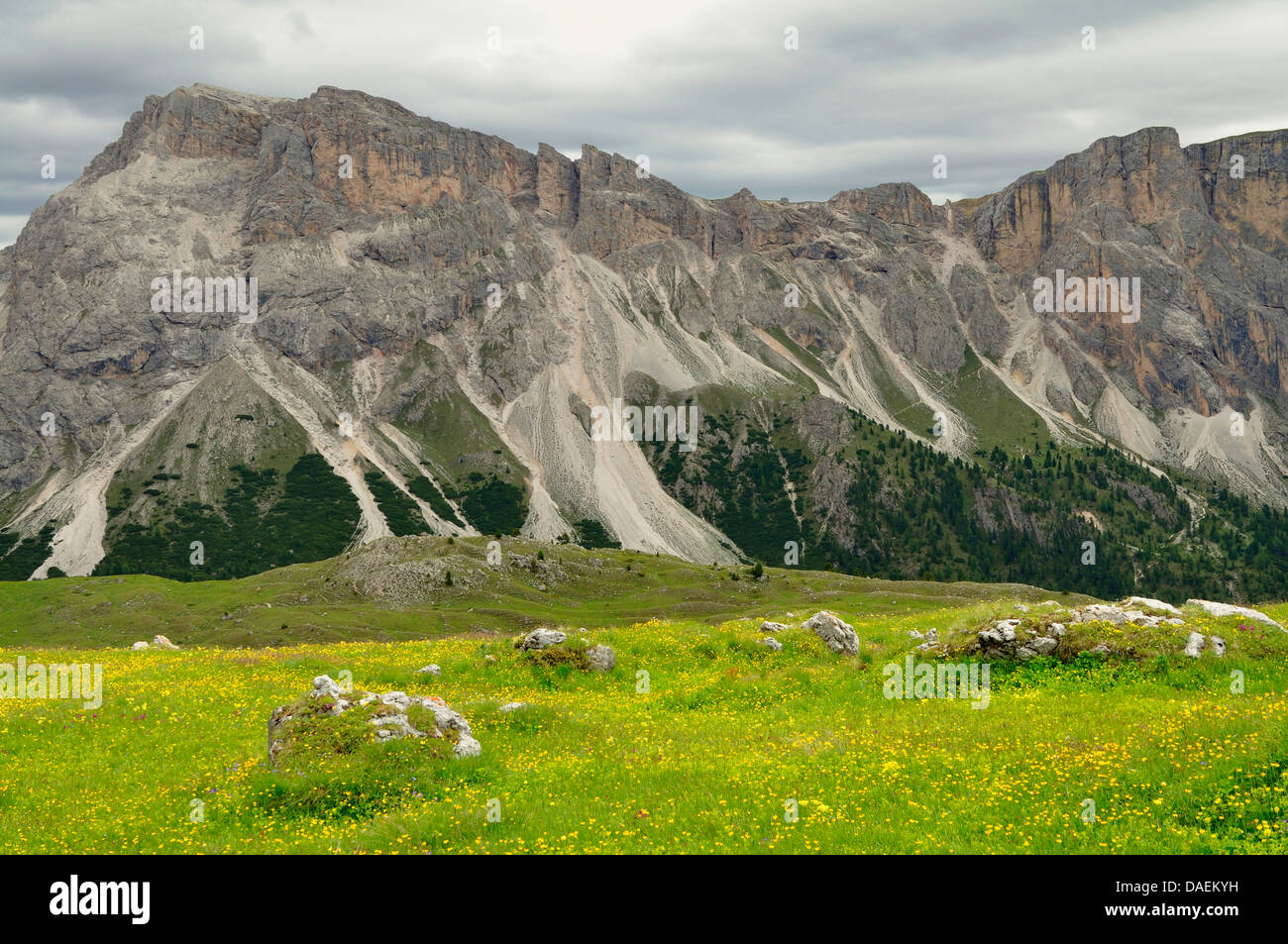 Blick al Monte Stevia, Italia Foto de stock