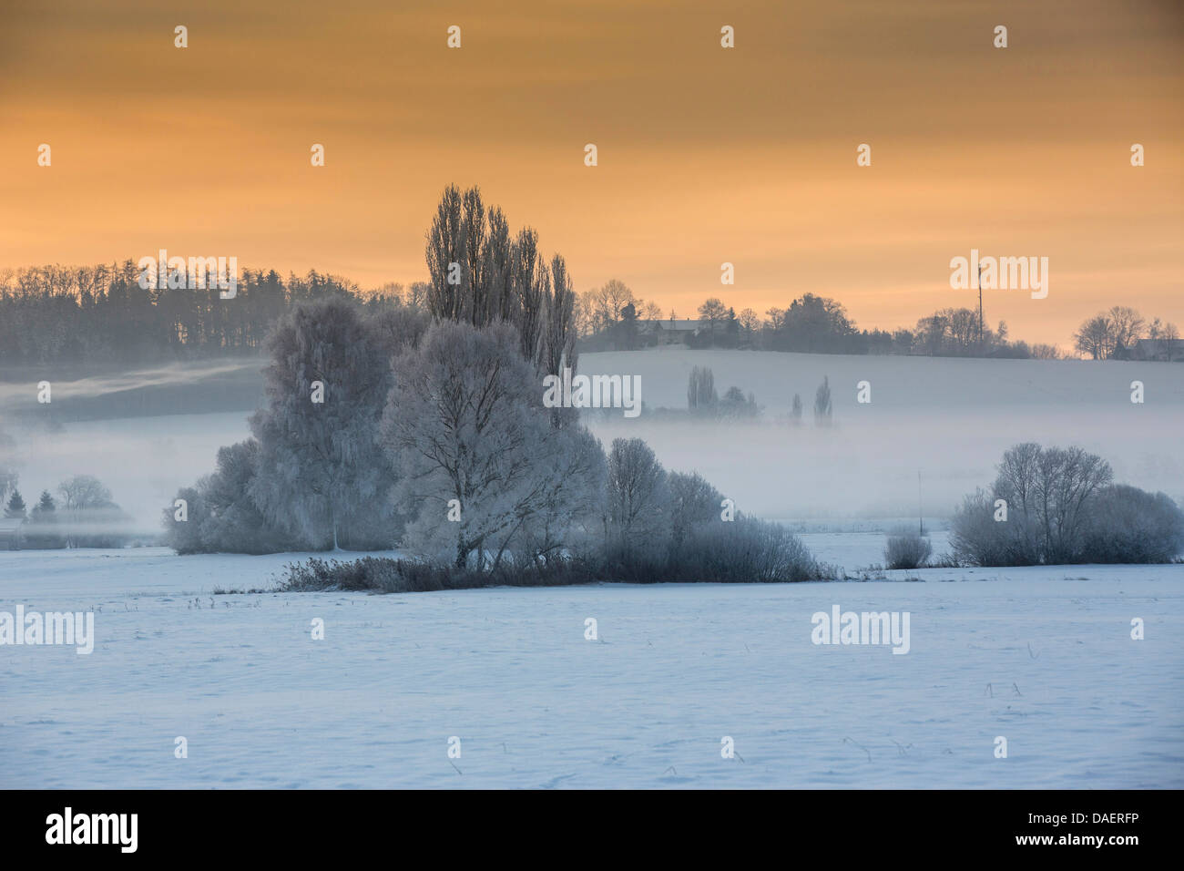 Paisaje con nieve y niebla de tierra en la luz de la mañana, Alemania, Baviera, Isental Foto de stock