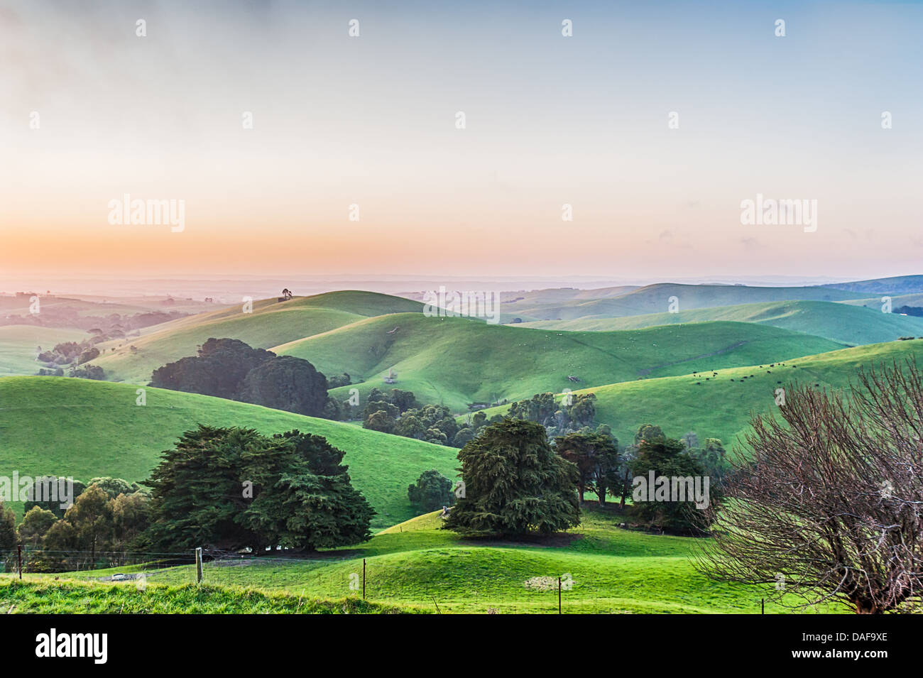 Exuberantes y verdes colinas de la campiña y cielos azules en el estado australiano de Victoria, Gippsland Foto de stock