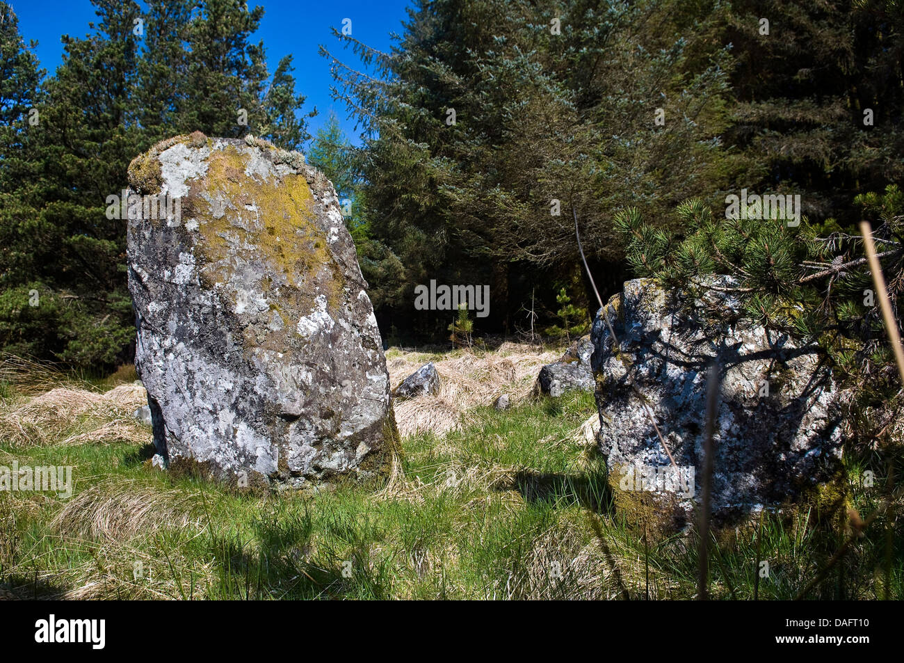 Davagh permanente inferior de piedra y en el círculo de piedra Davagh Bosque, Condado de Tyrone, Irlanda del Norte, REINO UNIDO Foto de stock