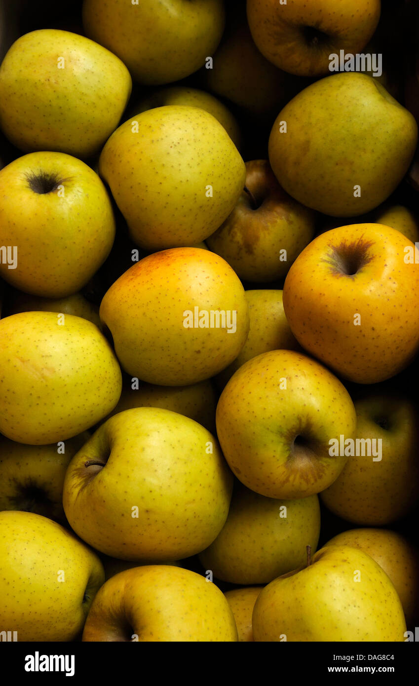 Caja de manzanas francesas, Golden Delicious Foto de stock