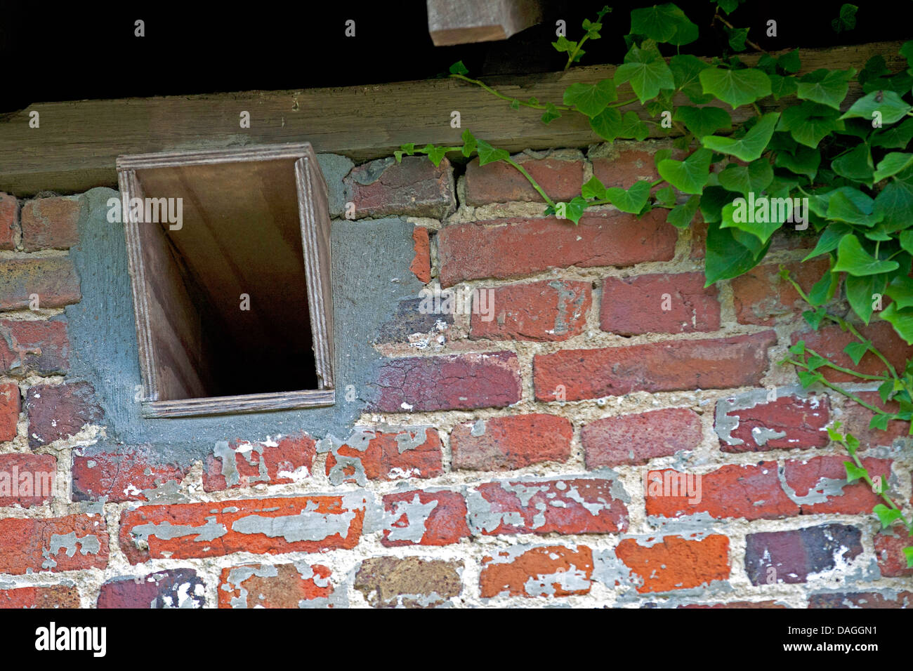 El hombre caja nido para lechuzas, Bélgica Foto de stock