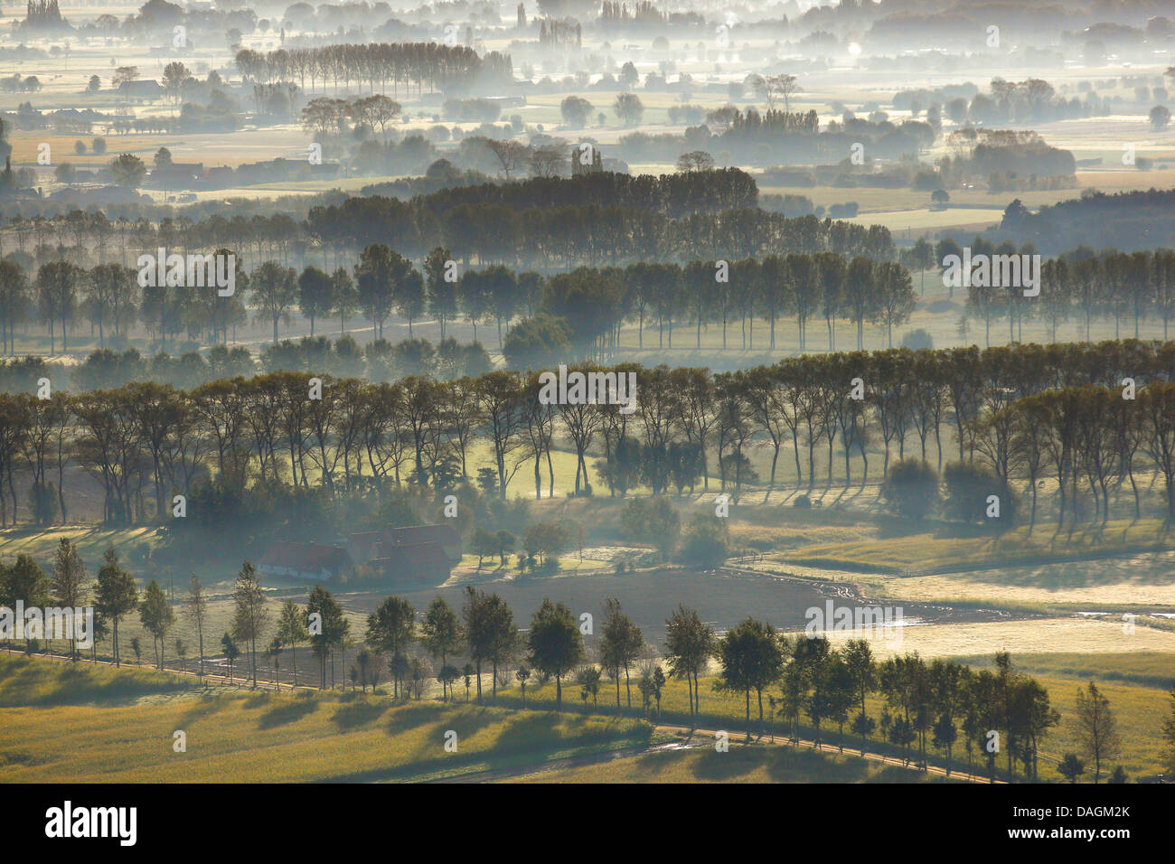 Vista aérea de campo Brugs Ommeland de paisaje en la niebla de la mañana, Bélgica Foto de stock