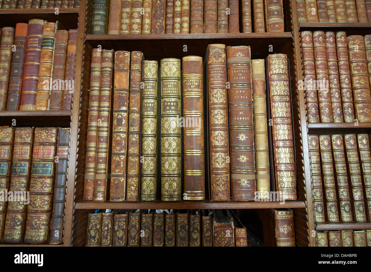 Anticuario de libros de una biblioteca Foto de stock