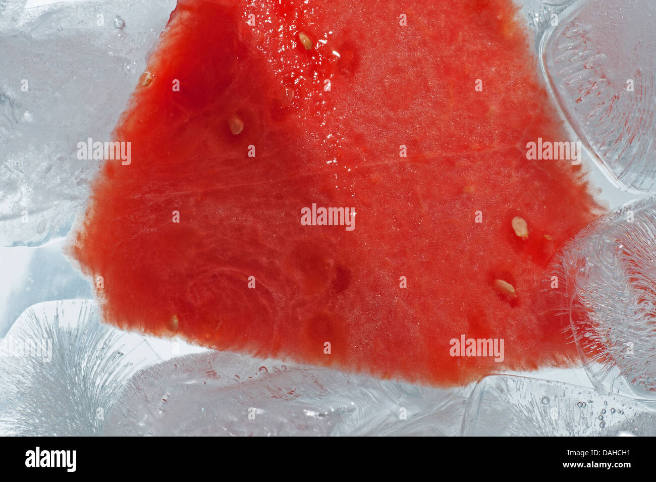 Sandía - rojo sandía en el hielo Foto de stock