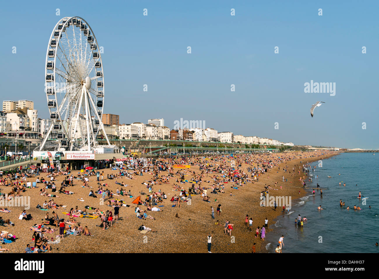 Rueda de Brighton Brighton Beach y la costa de Inglaterra, Gran Bretaña UK Foto de stock