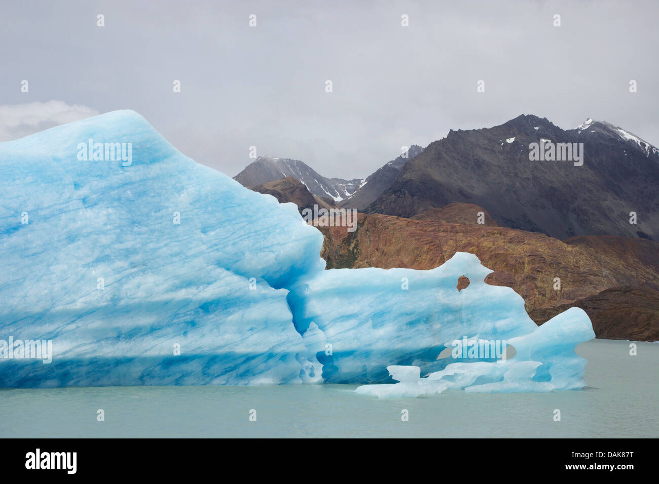 Témpano en Lago Viedma, Chile, Patagonia, los Andes, el Parque Nacional Los Glaciares Foto de stock