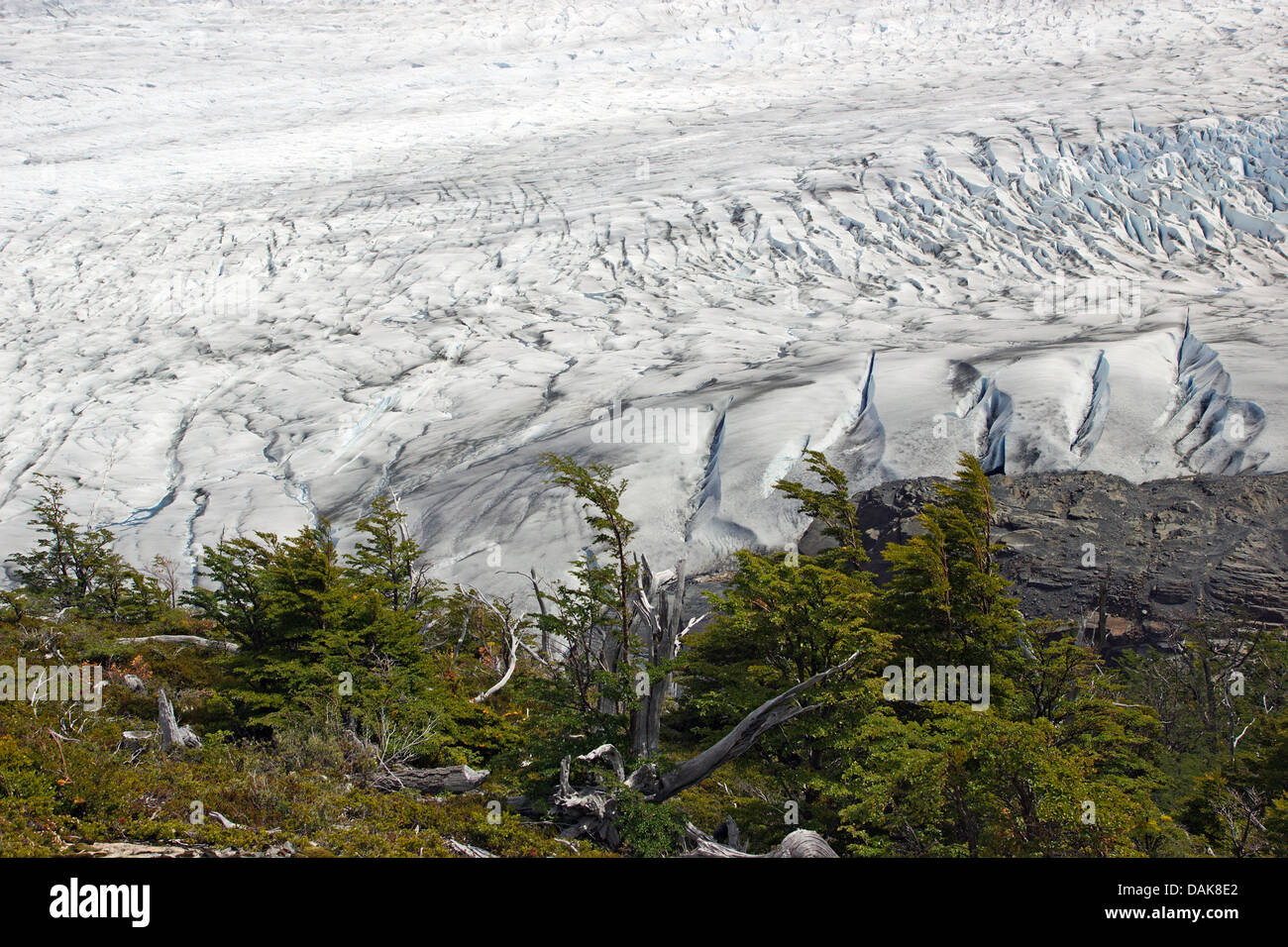 Glaciar Grey, Chile, Patagonia, Parque Nacional Torres del Paine Foto de stock
