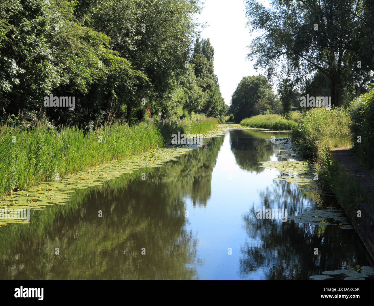 Canal de Newport, Shropshire Foto de stock