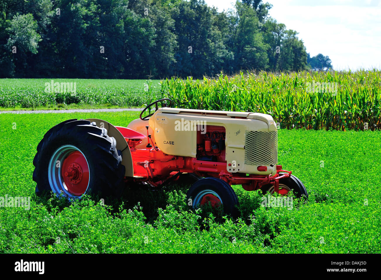 Caso antiguo Tractor en el hayfield Fotografía de stock Alamy