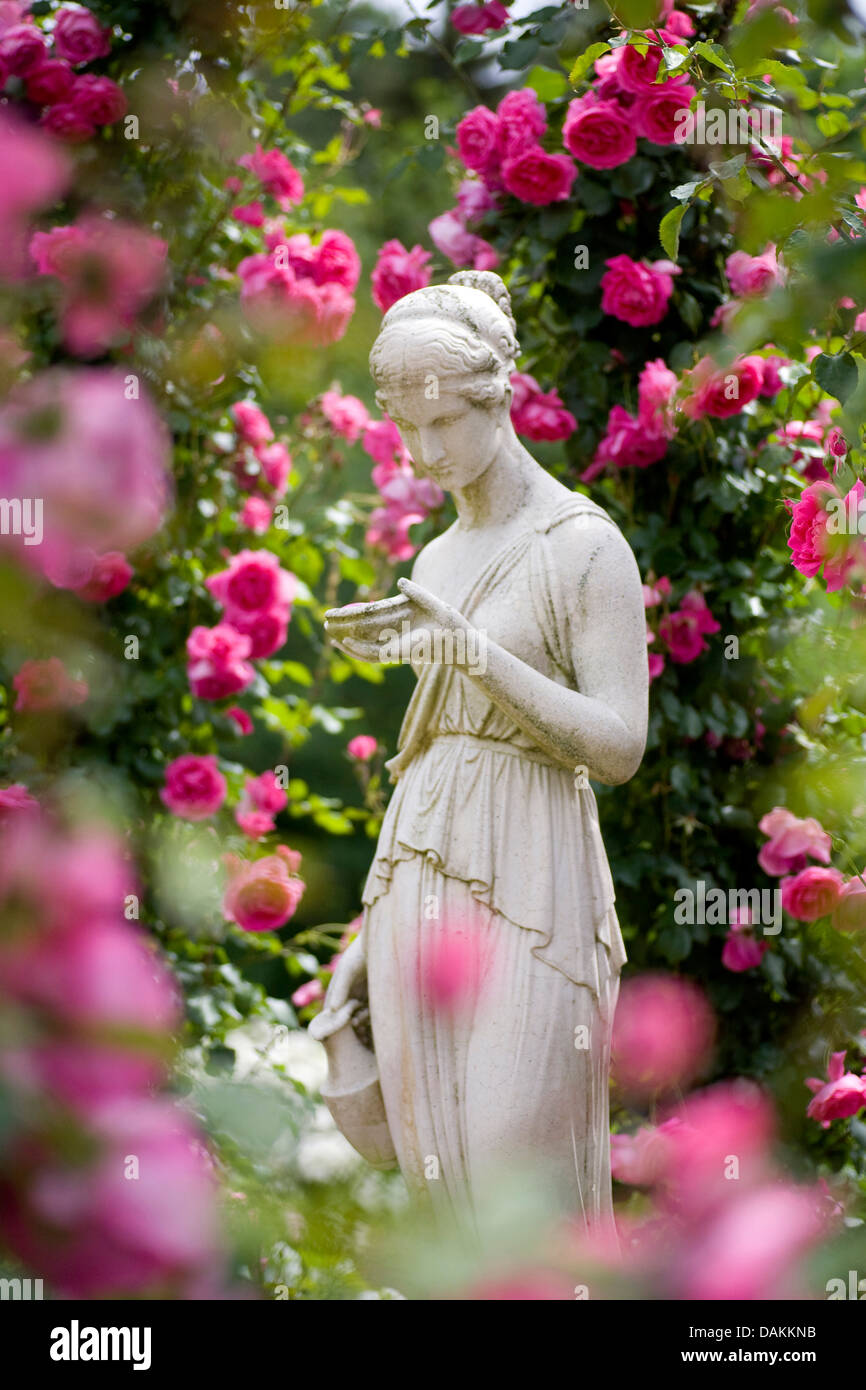 Rose (Rosa ornamentales spec.), la estatua de una mujer en un florido jardín de rosas, Alemania Foto de stock
