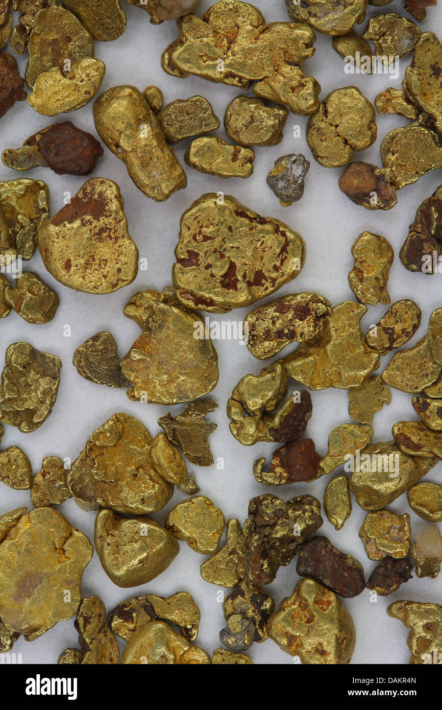 California (USA) Natural Placer pepitas de oro - tal como se encuentran en la secuencia Foto de stock