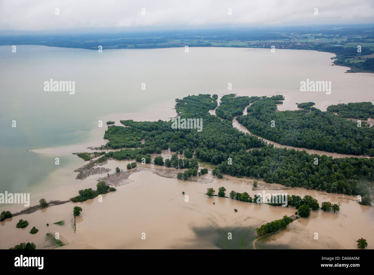 Delta del río Achen, Hirschauer Bucht en el lago Chiemsee inundada en junio de 2013, Alemania, Baviera, el lago Chiemsee Foto de stock