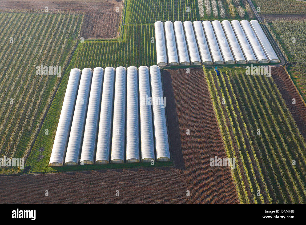 Vista aérea a los campos e invernaderos, Bélgica, Haspengouw Foto de stock