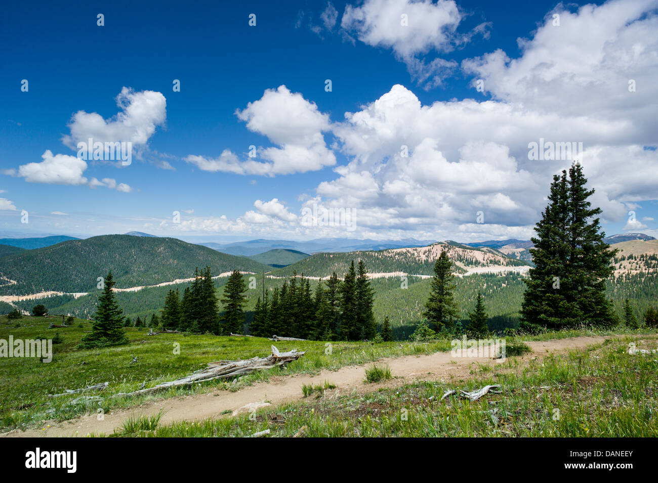 Monarch Crest Trail, en el centro de Colorado, EE.UU. Foto de stock