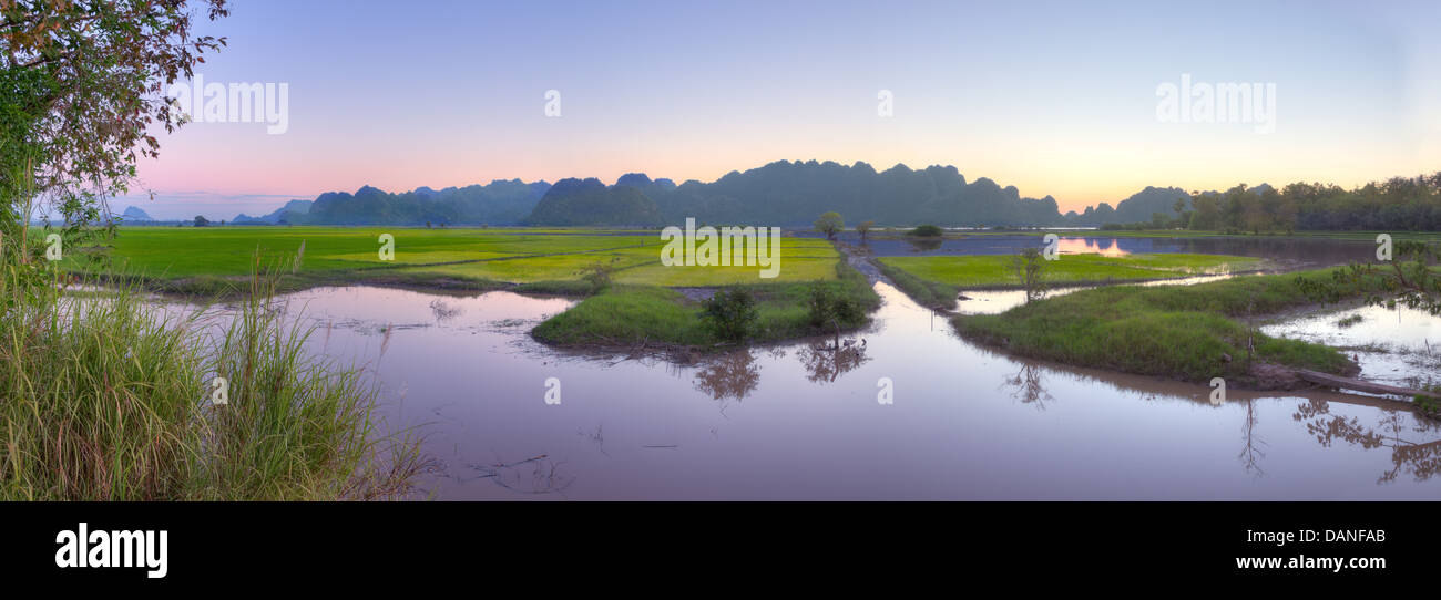 Inundados de campos de arroz verde paisaje de campiña agrícola birmana con karst gama reflejando al atardecer, Birmania Foto de stock