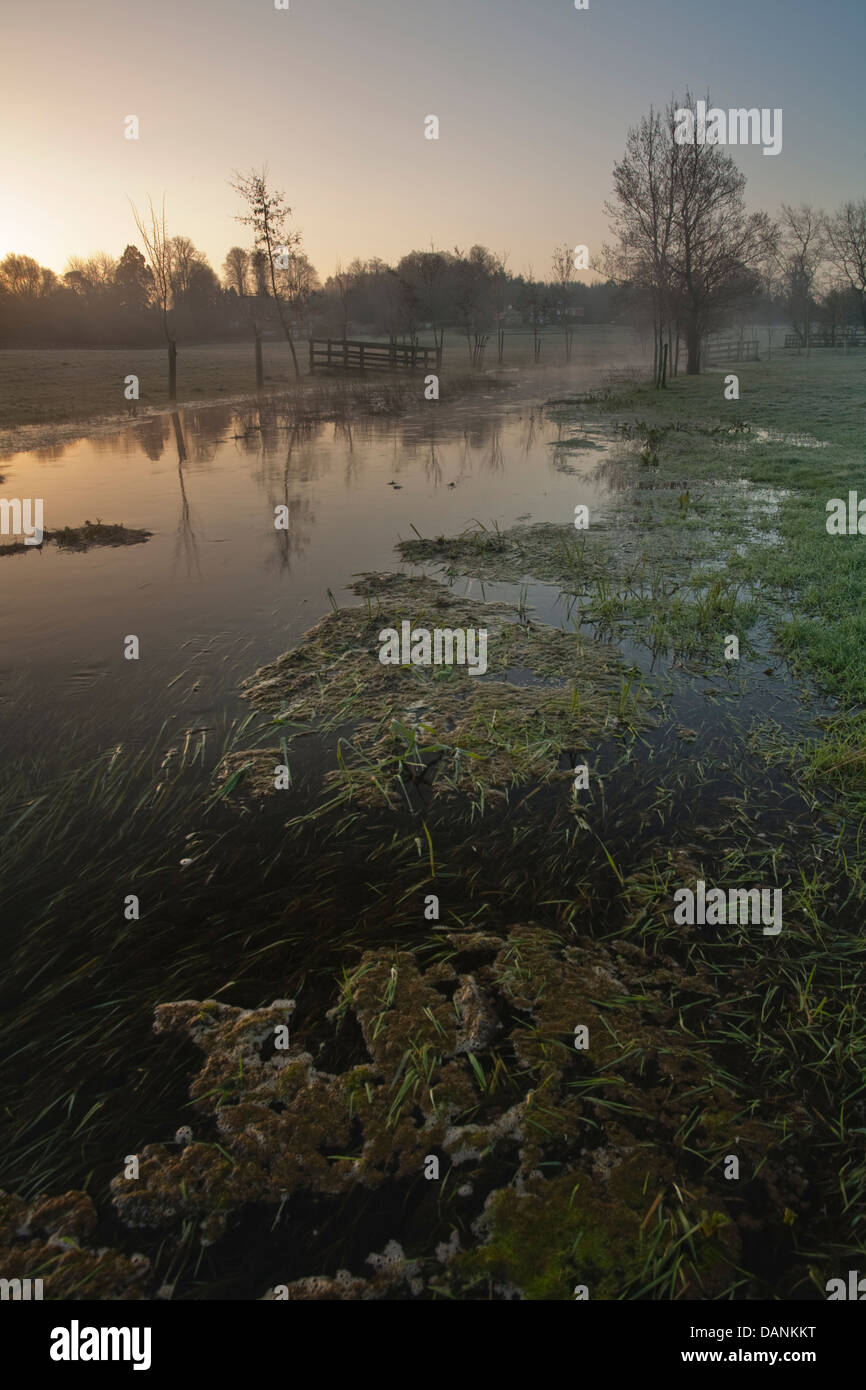 Amanecer en la fuente del río Test Overton, Hampshire Fotografía de ...