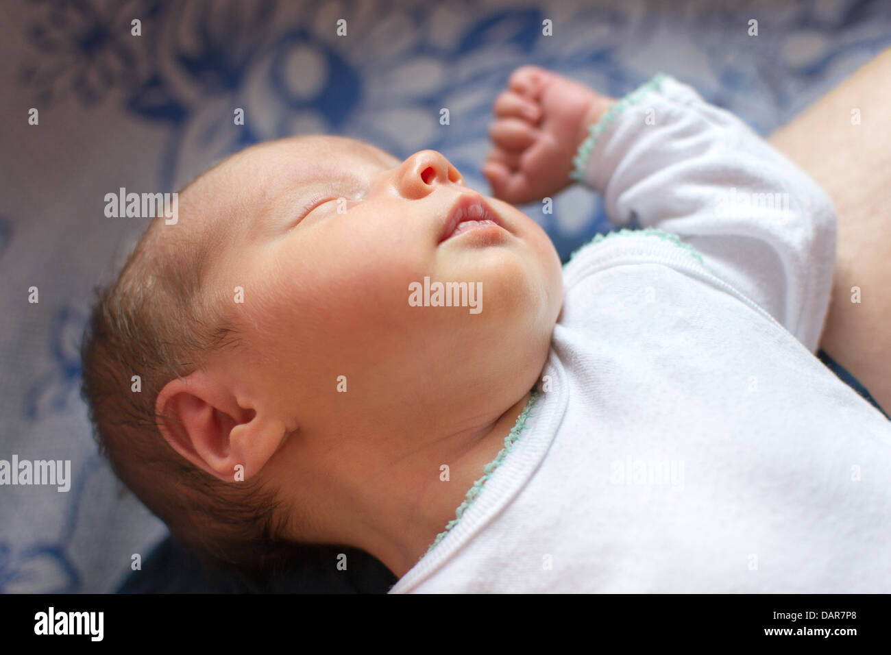 Bebe Recien Nacido 2 Semanas Dormir Sobre Las Rodillas Del Padre Fotografia De Stock Alamy