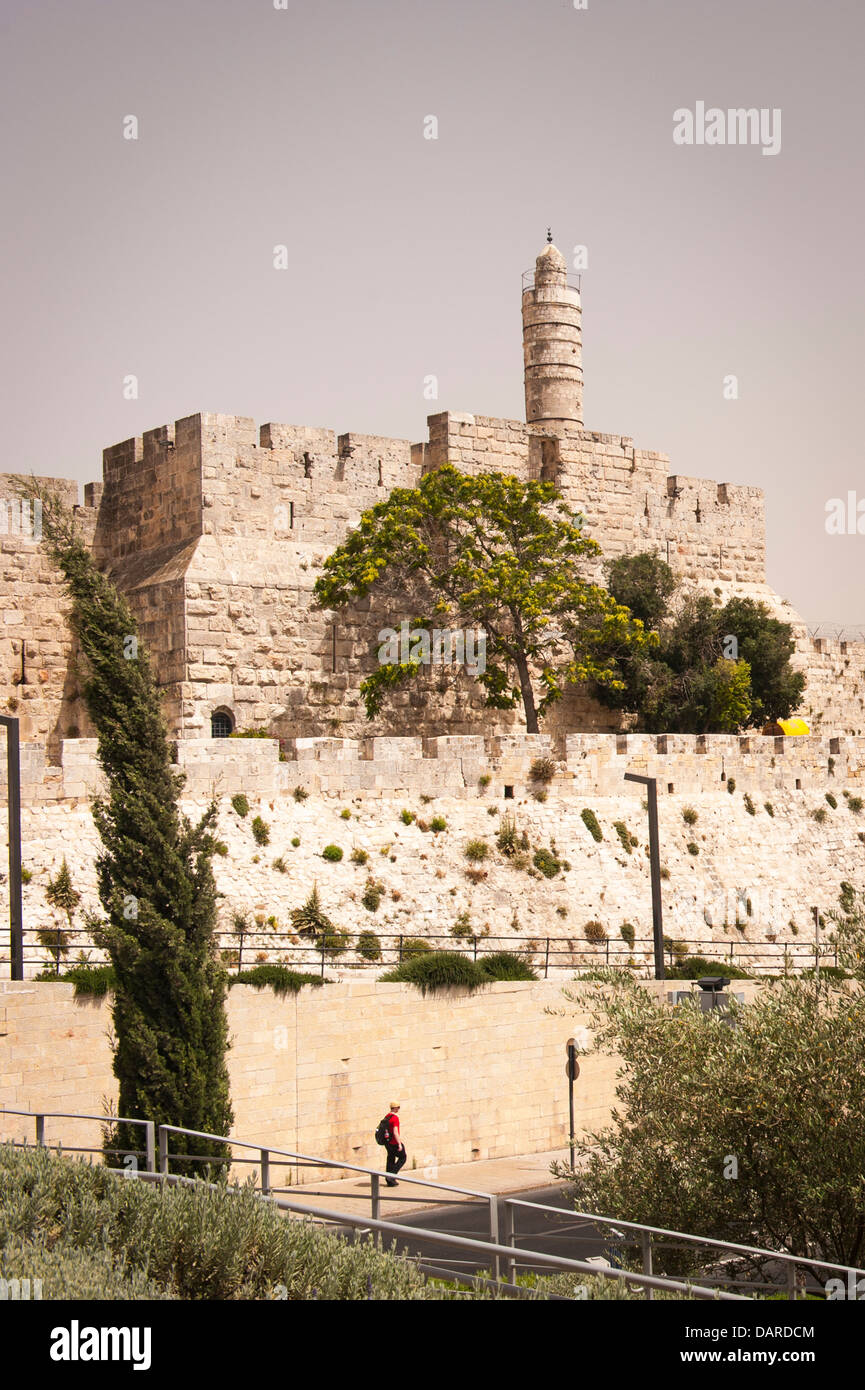 Israel Jerusalén Ciudad Vieja vista de la Ciudadela, la Torre de David y la Muralla de la ciudad blue sky tree árboles hombre peatonal macho Foto de stock