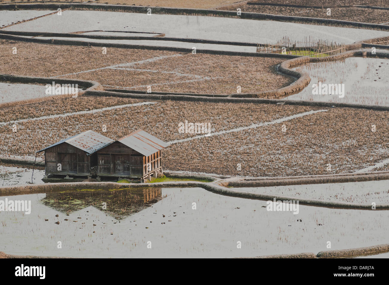 La lluvia del techo dos cabañas Apatani solitarios. Foto de stock