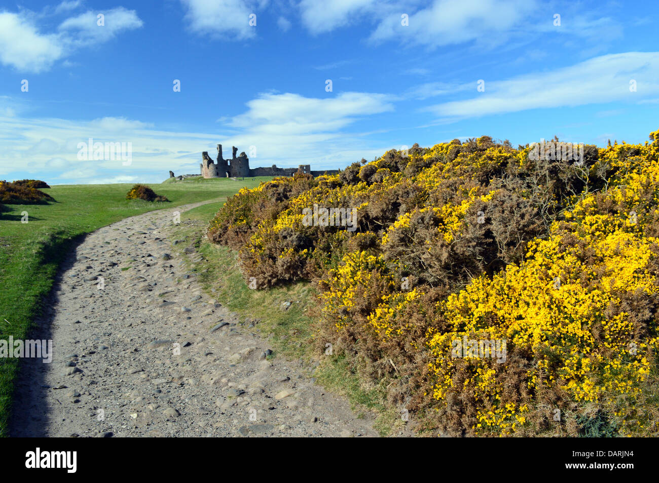 Castillo de Dunstanburgh sobre San Oswalds forma Sendero de Larga Distancia de la costa de Northumberland Foto de stock