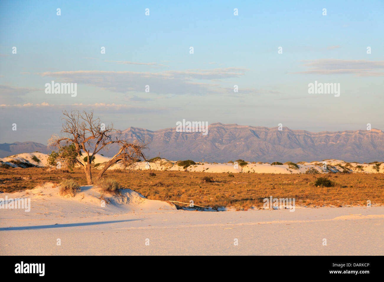 Estados Unidos, en Nuevo México, White Sands National Monument Foto de stock