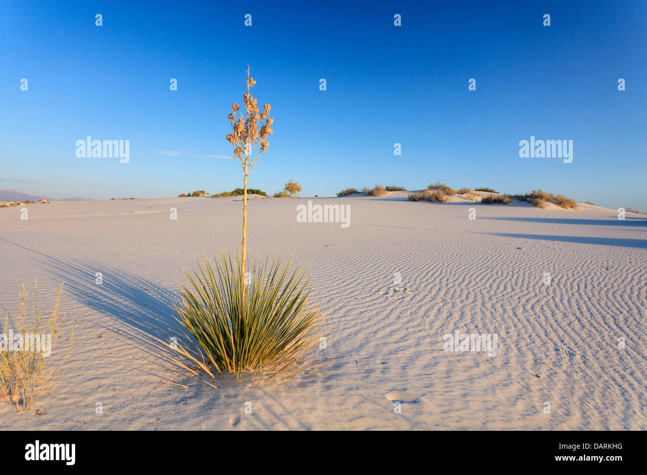 Estados Unidos, en Nuevo México, White Sands National Monument Foto de stock