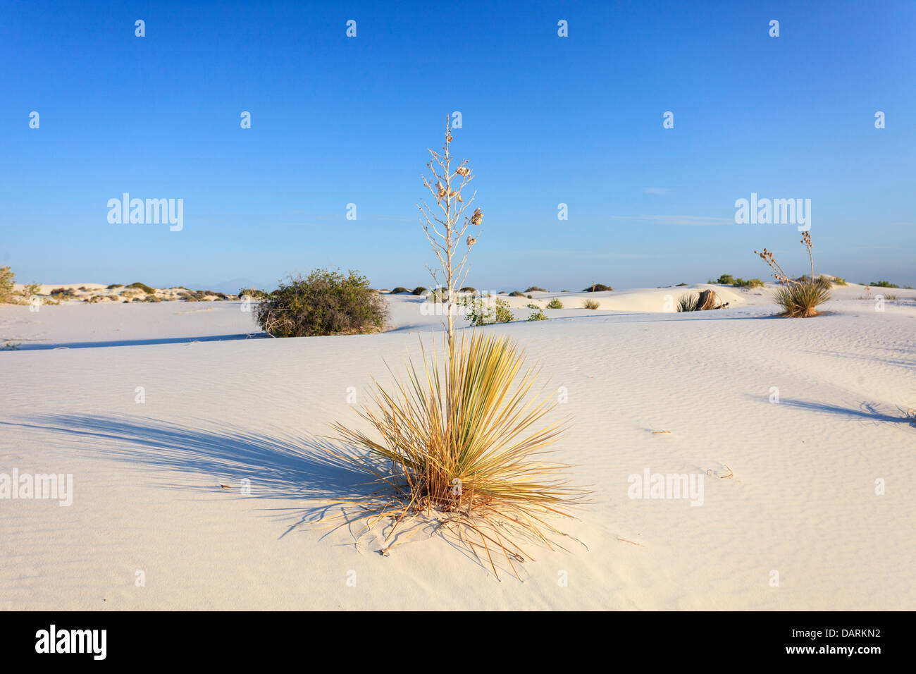 Estados Unidos, en Nuevo México, White Sands National Monument Foto de stock