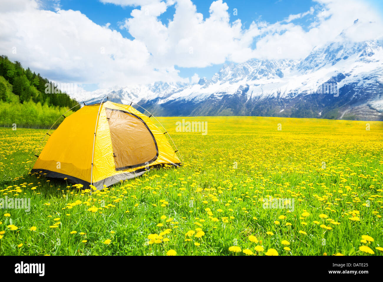 Tienda de campaña, en el bonito campo jaramago amarillo con las montañas al fondo Foto de stock