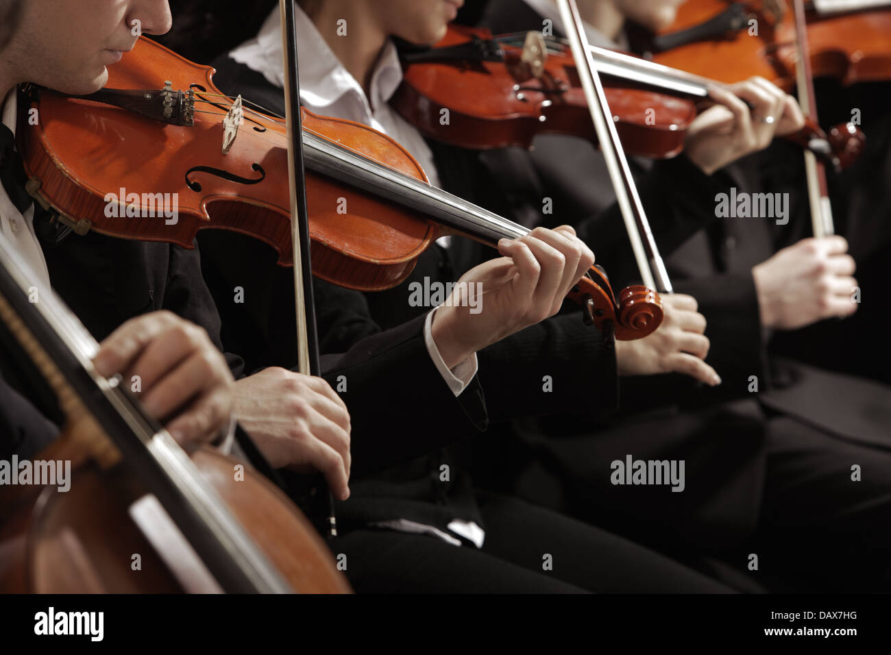 Violinistas fotografías e imágenes de alta resolución - Página 7 - Alamy