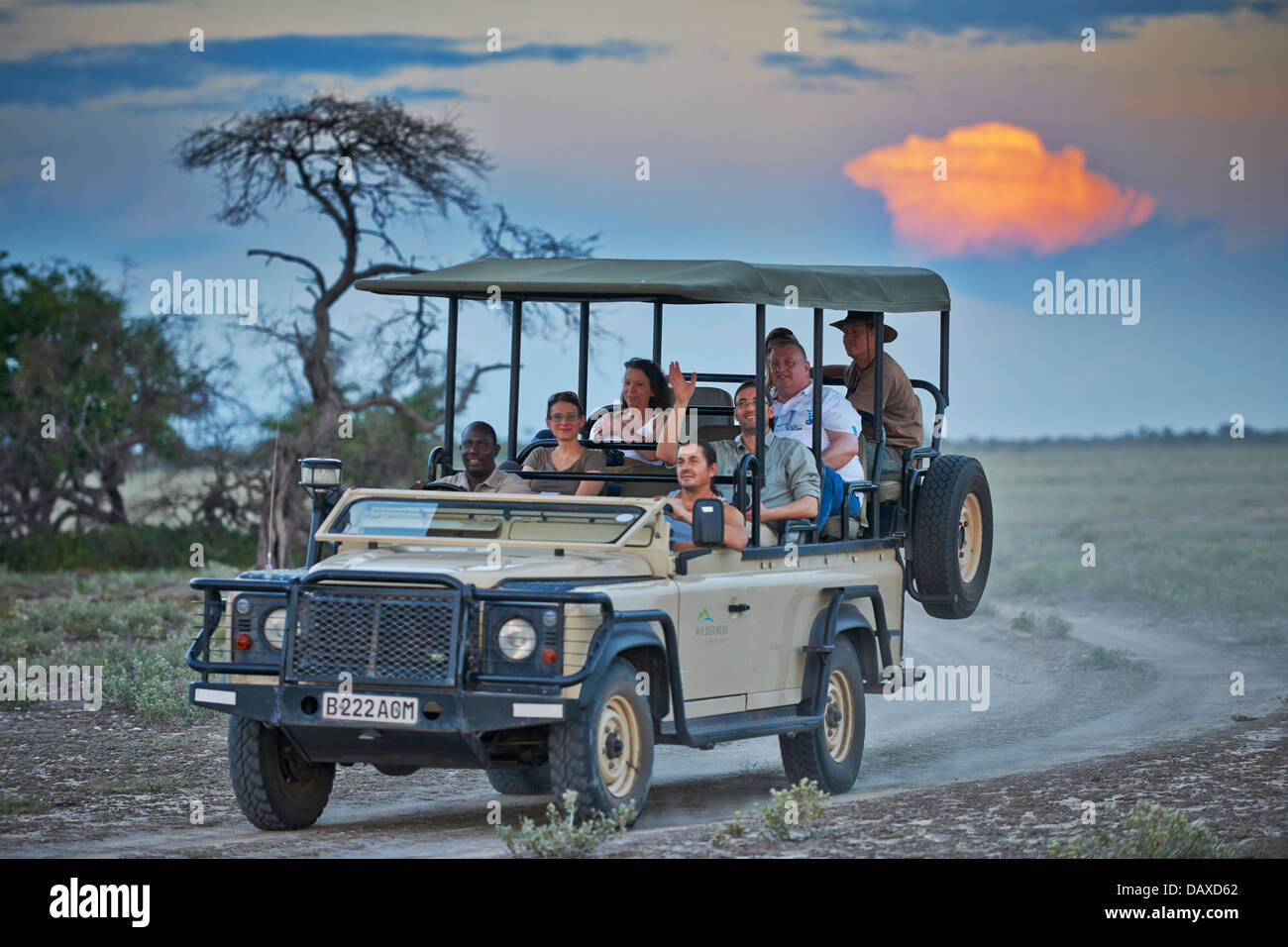 4x4 Auto safari con y guía durante el atardecer en la Reserva de Caza del Kalahari Central, Botsuana, África Fotografía de stock - Alamy