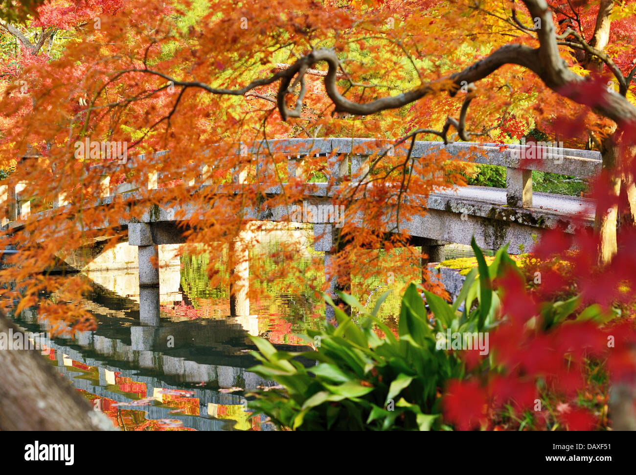 El follaje de otoño en templo Eikando en Kyoto, Japón. Foto de stock