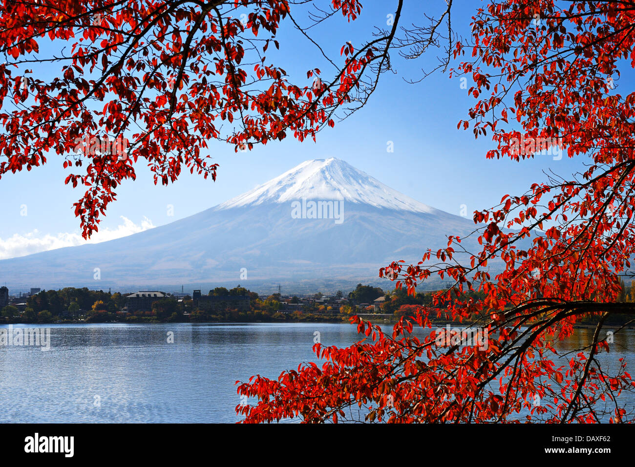 Mt. Fuji y follaje de otoño en el Lago Kawaguchi. Foto de stock
