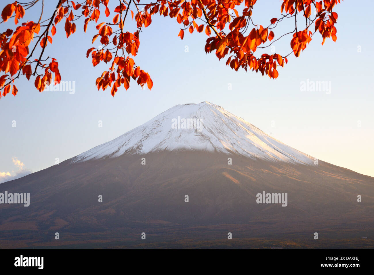 Mt. Fuji con colores de otoño en Japón. Foto de stock
