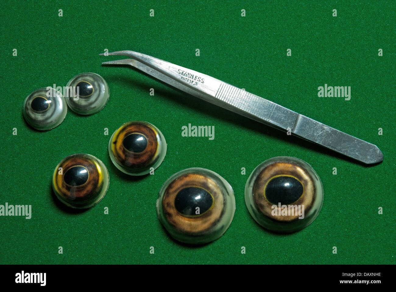 Una selección de ojos artificiales utilizados para Taxidermia Foto de stock