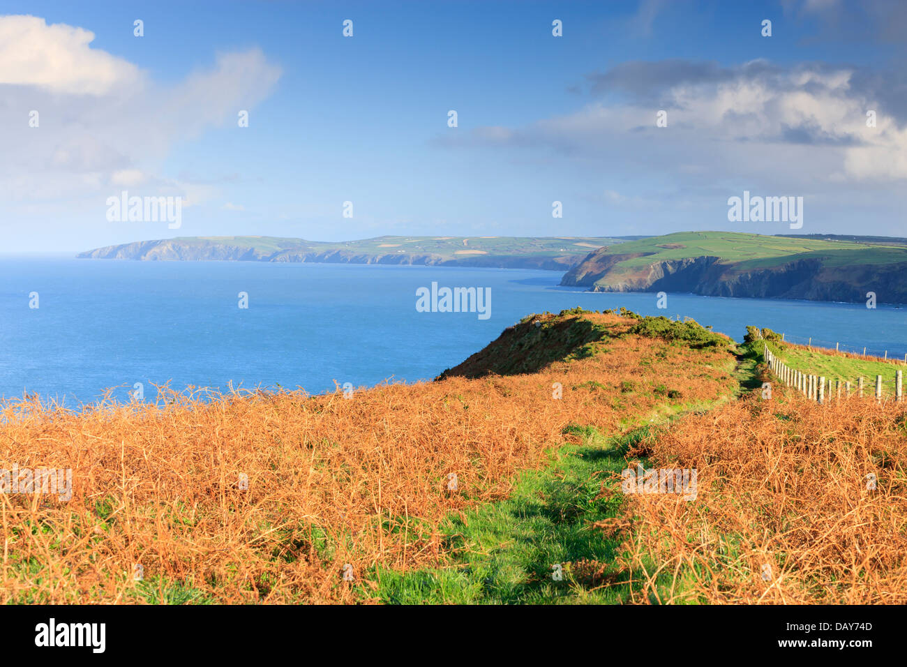 Ruta de la costa en el Dinas Jefe nr Fishguard Gales pembrokeshire mirando al norte Foto de stock