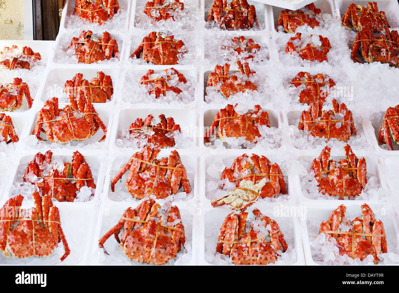 Los cangrejos envasados en hielo mañana a la venta en un mercado de mariscos en Hakodate, Japón. Foto de stock