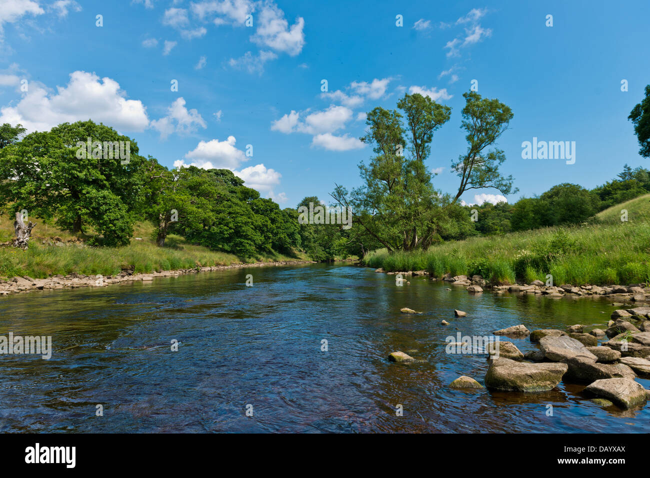 Medio día en los veranos Strid cerca de Bolton Abbey, Wharfedale, Yorkshire, Inglaterra, Reino Unido, Europa. Foto de stock