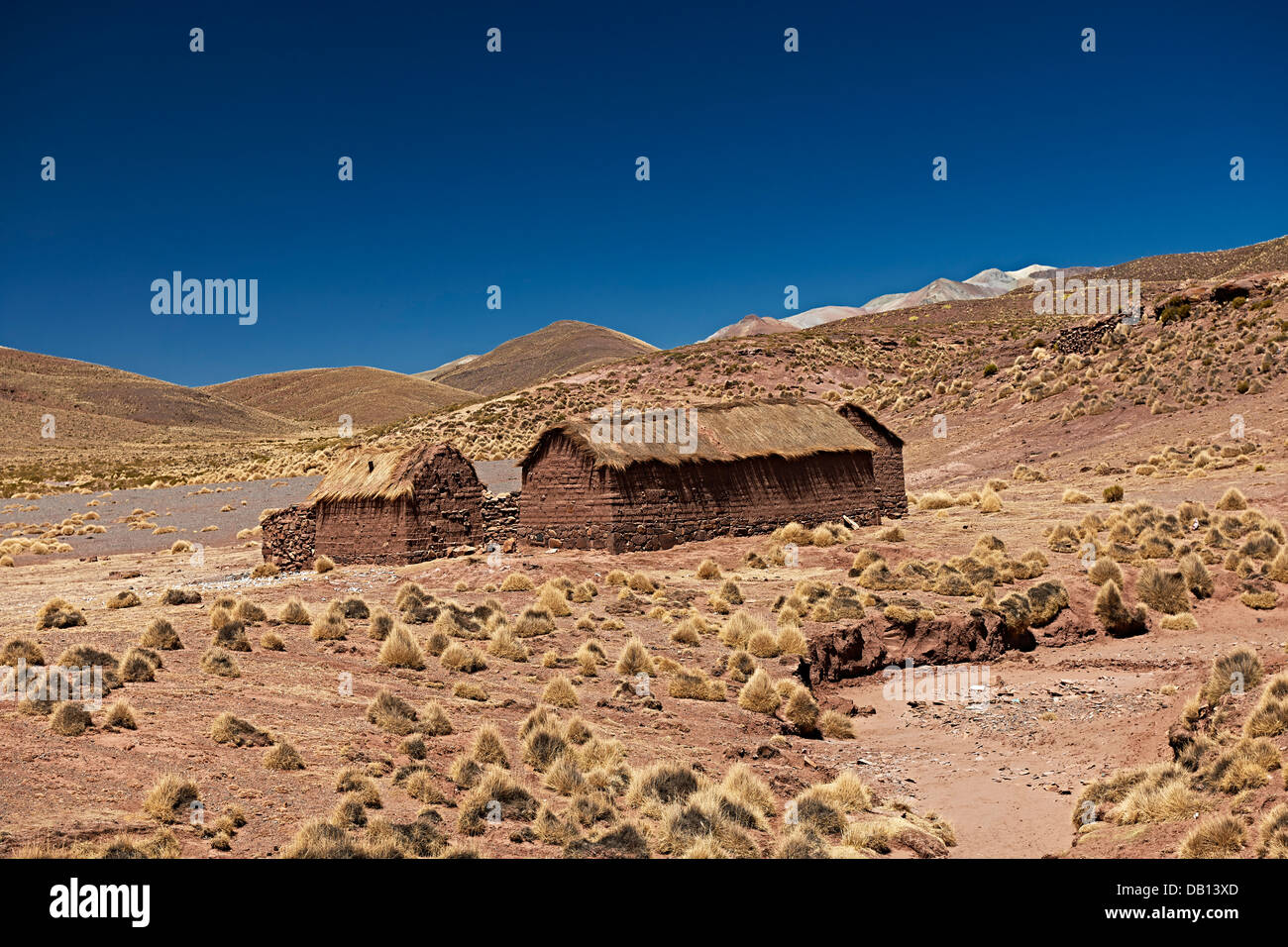 Granja aislada en la Reserva Nacional de Fauna Andina Eduardo Abaroa, Bolivia, América del Sur Foto de stock