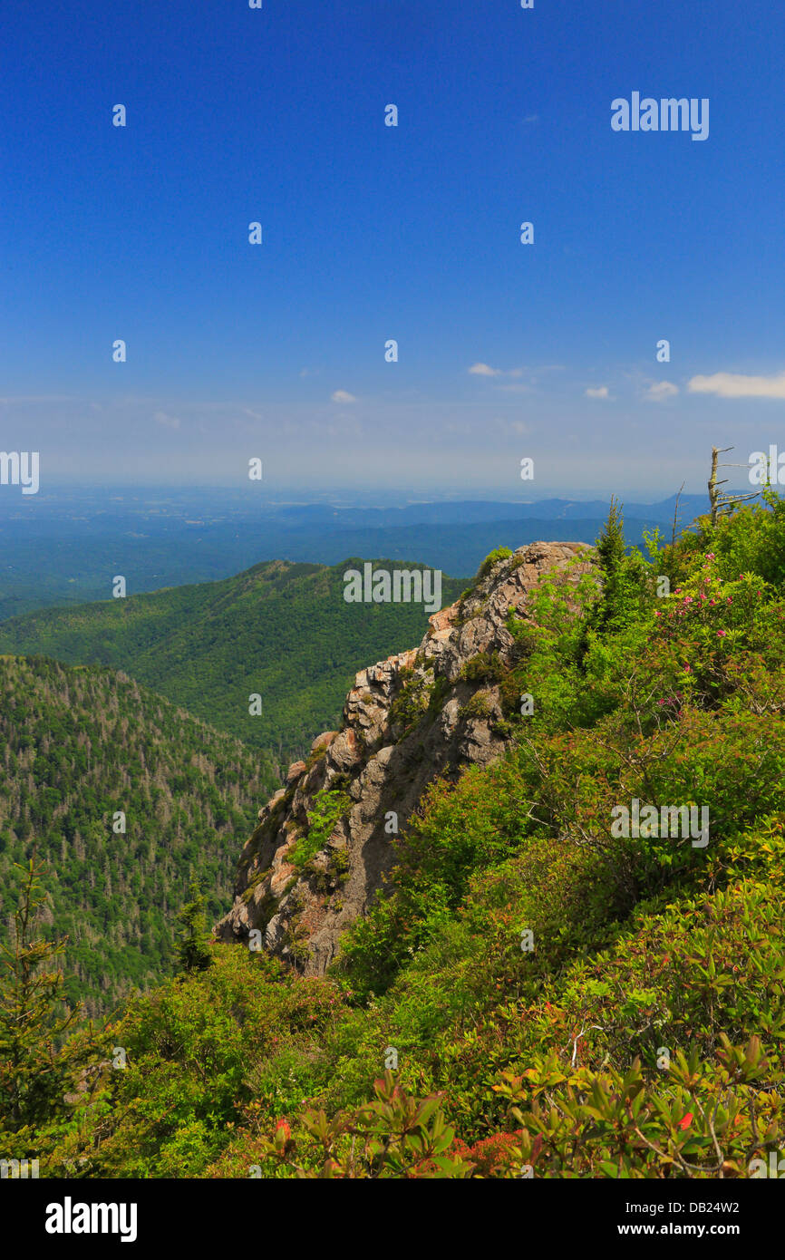Charlie's juanete, Great Smoky Mountains National Park, Carolina del Norte, Tennessee, EE.UU. Foto de stock
