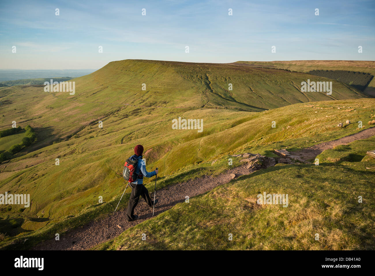 Excursionista femenina en sendero de cumbre de Twmpa - Lord Hereford la perilla, Montañas Negras, el Parque Nacional de Brecon Beacons, Gales Foto de stock