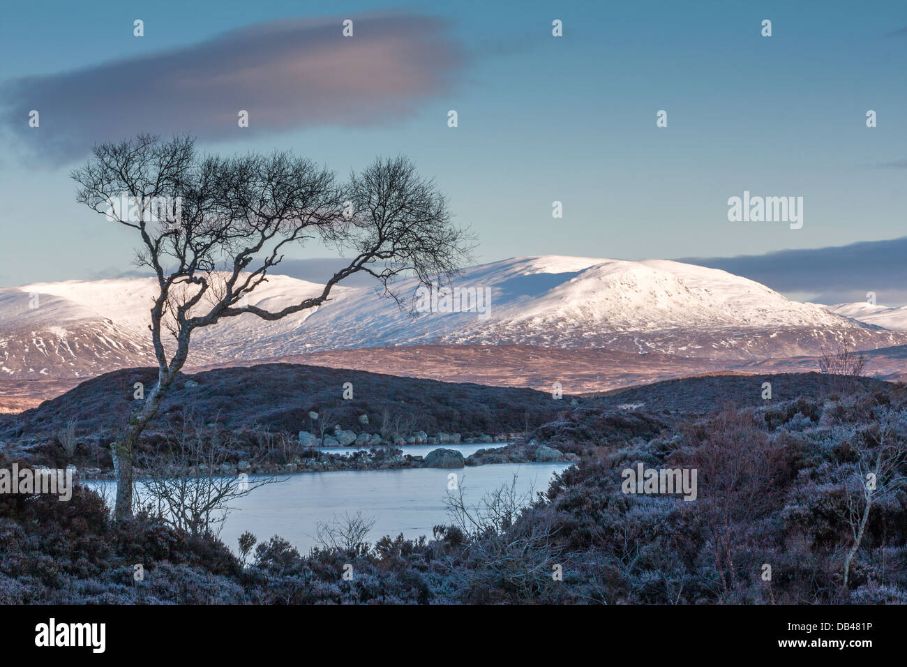 Escena de Invierno, Lochan Na H-Achlaise, Rannoch Moor, Scotland, Reino Unido Foto de stock