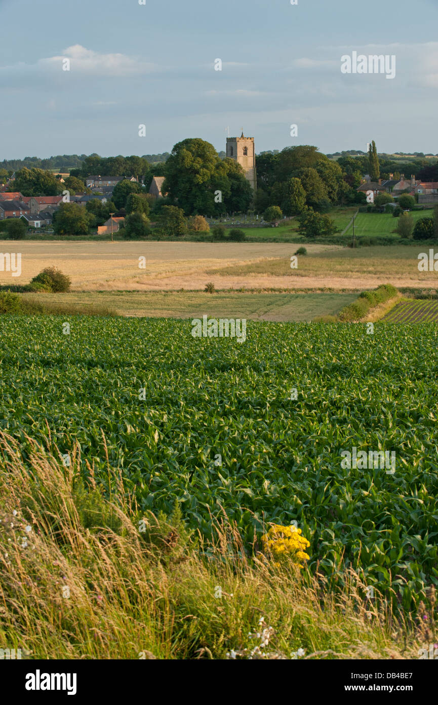 Vista Rural sobre los cultivos en tierras agrícolas (campos utilizados para cultivos herbáceos) hasta el pequeño pueblo pintoresco de Spofforth - North Yorkshire, Inglaterra, Reino Unido. Foto de stock