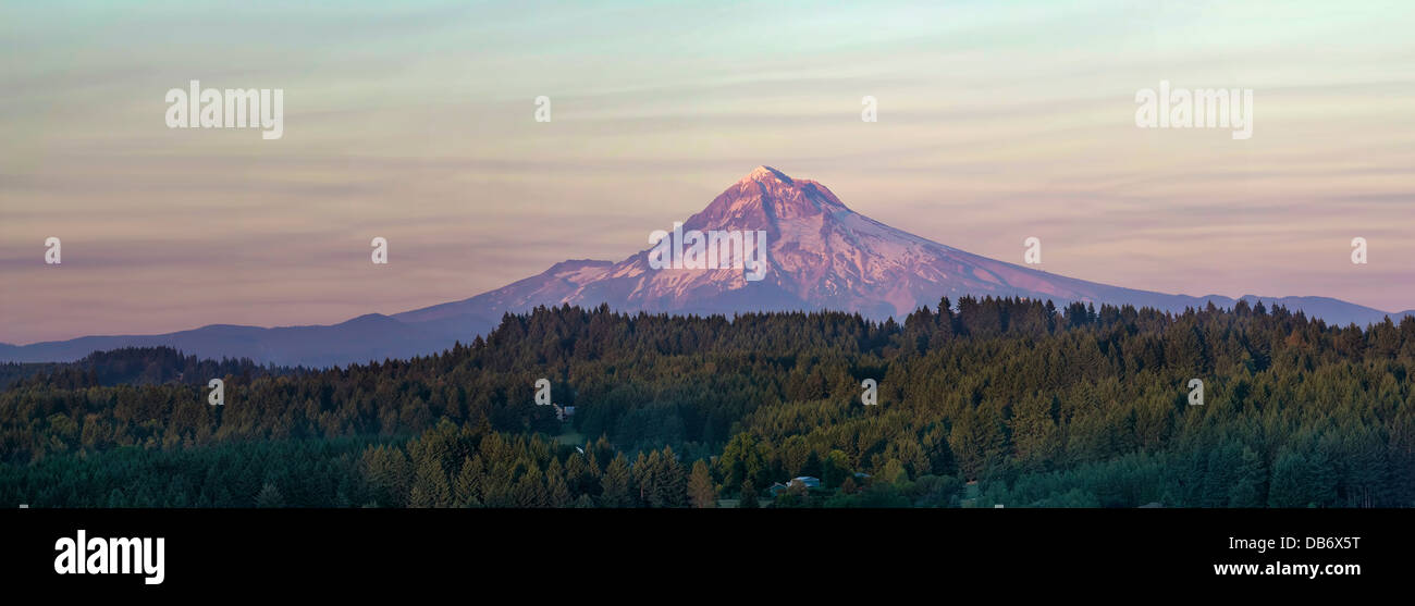 El Monte Hood en Oregon atardecer en zona rural paisaje con árboles de hoja perenne Panorama Foto de stock