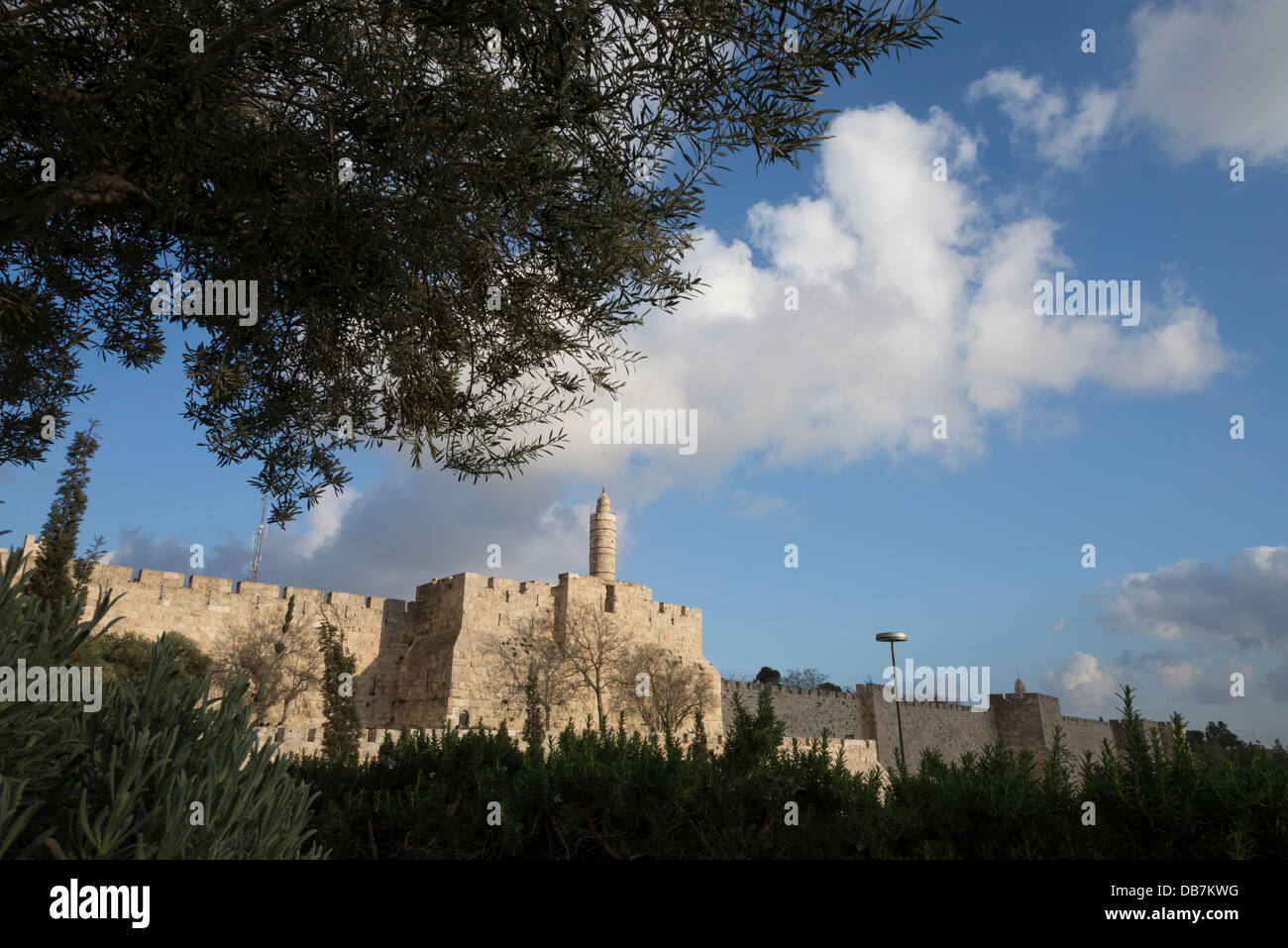 La ciudadela de David y las murallas de la ciudad, visto a través de olivo con nubes de luz. Ciudad Vieja de Jerusalén. Israel. Foto de stock