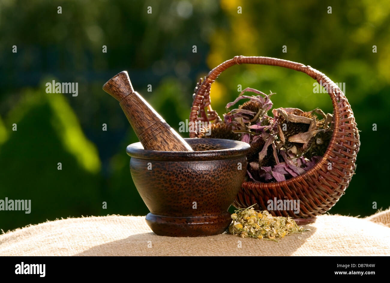 Mortero de madera con chamomiles sobre la mesa Foto de stock