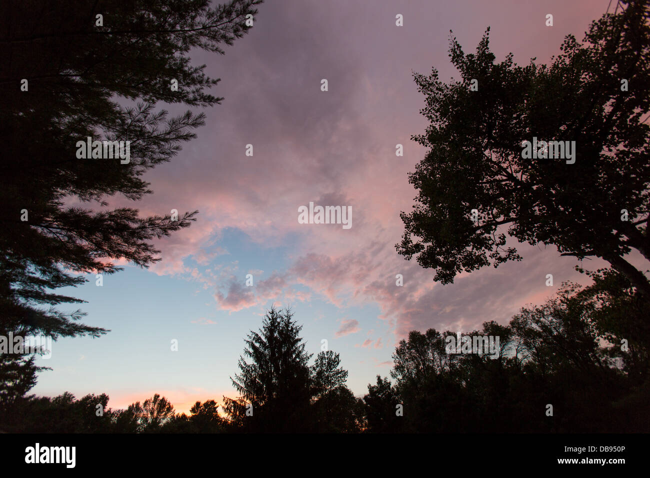 Una calma después de la tormenta. Las nubes persisten durante siluetas de árboles. Foto de stock